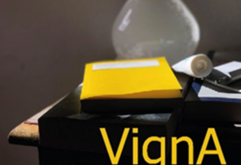 Das Bild zeigt das Logo des Netzwerks Vignetten- und Anekdotenforschung