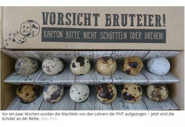 Die Tiroler Krone berichtet über ein Projekt zur Nachhaltigkeit an der PHT