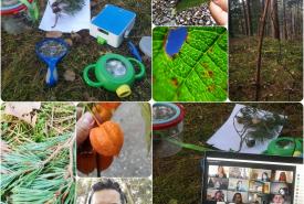 Naturforschen mit Tablet, Smartphone, Laptop usw.