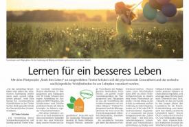 Zeitungsartikel TT