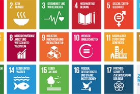 SDGs