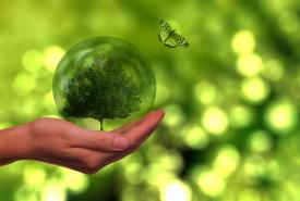 Umfrage zur Nachhaltigkeit