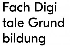 Fach Digitale Grundbildung