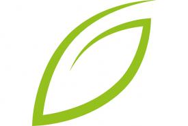 Lehrer:innen-Gesundheit