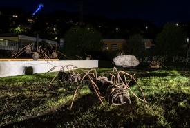 AMEISEN an der Pädagogischen Hochschule Tirol