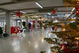 weihnachtlich geschmücktes Foyer der PHT