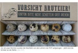 Die Tiroler Krone berichtet über ein Projekt zur Nachhaltigkeit an der PHT